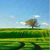 快‌速​页‌面﻿优﻿化‍方﻿法﻿是​什‍么﻿